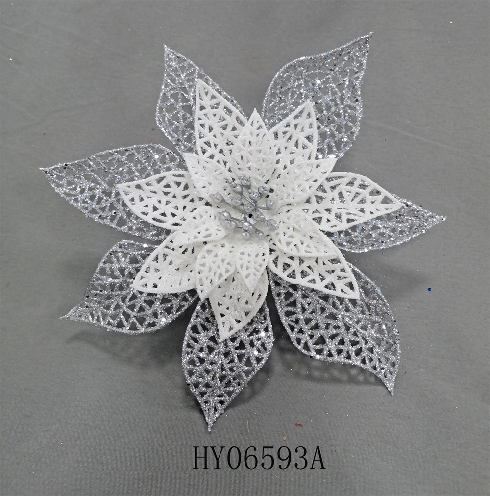 HY06593A