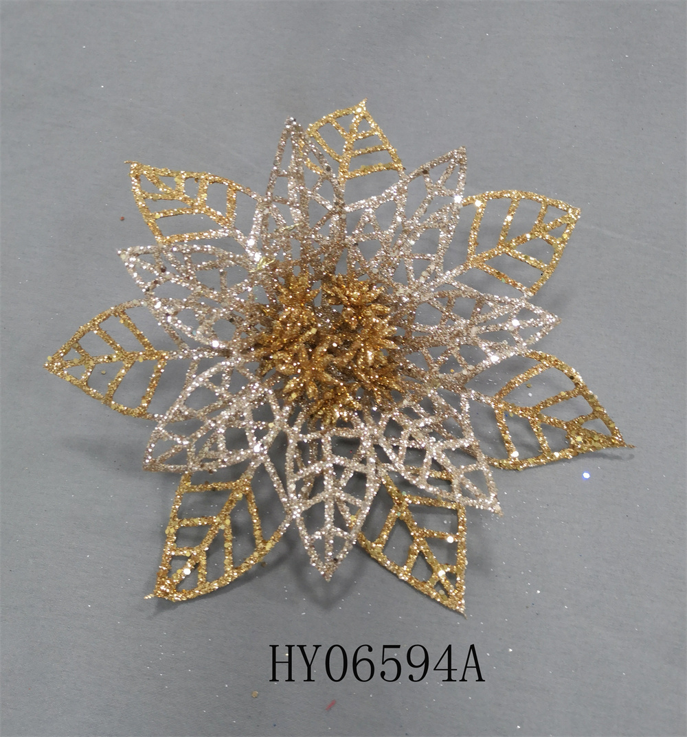 HY06594A