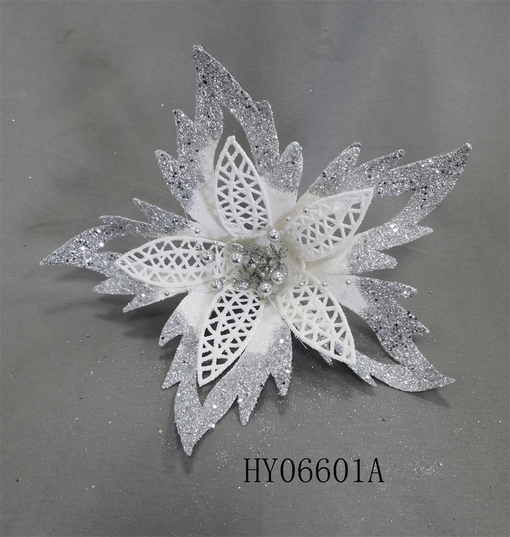 HY06601A