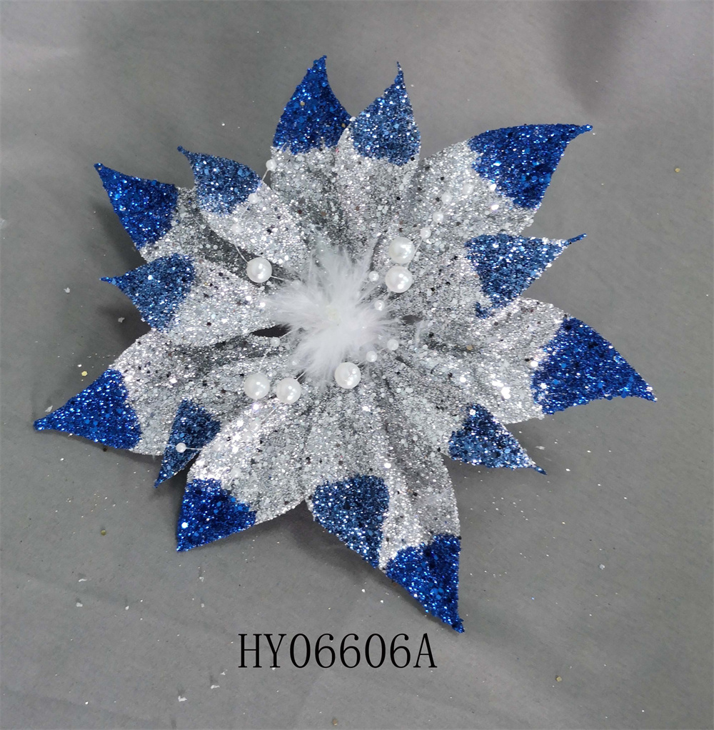 HY06606A