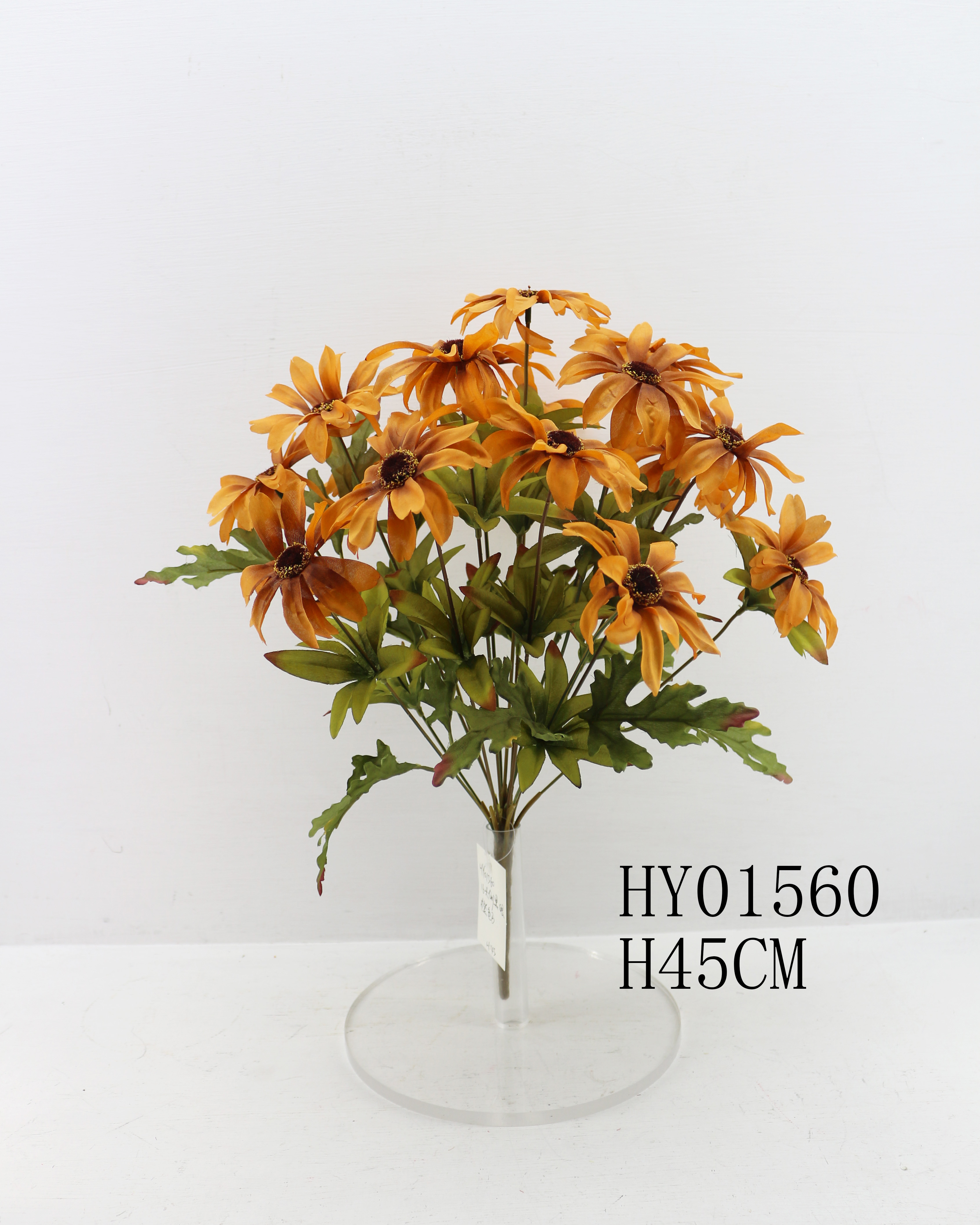 HY01560