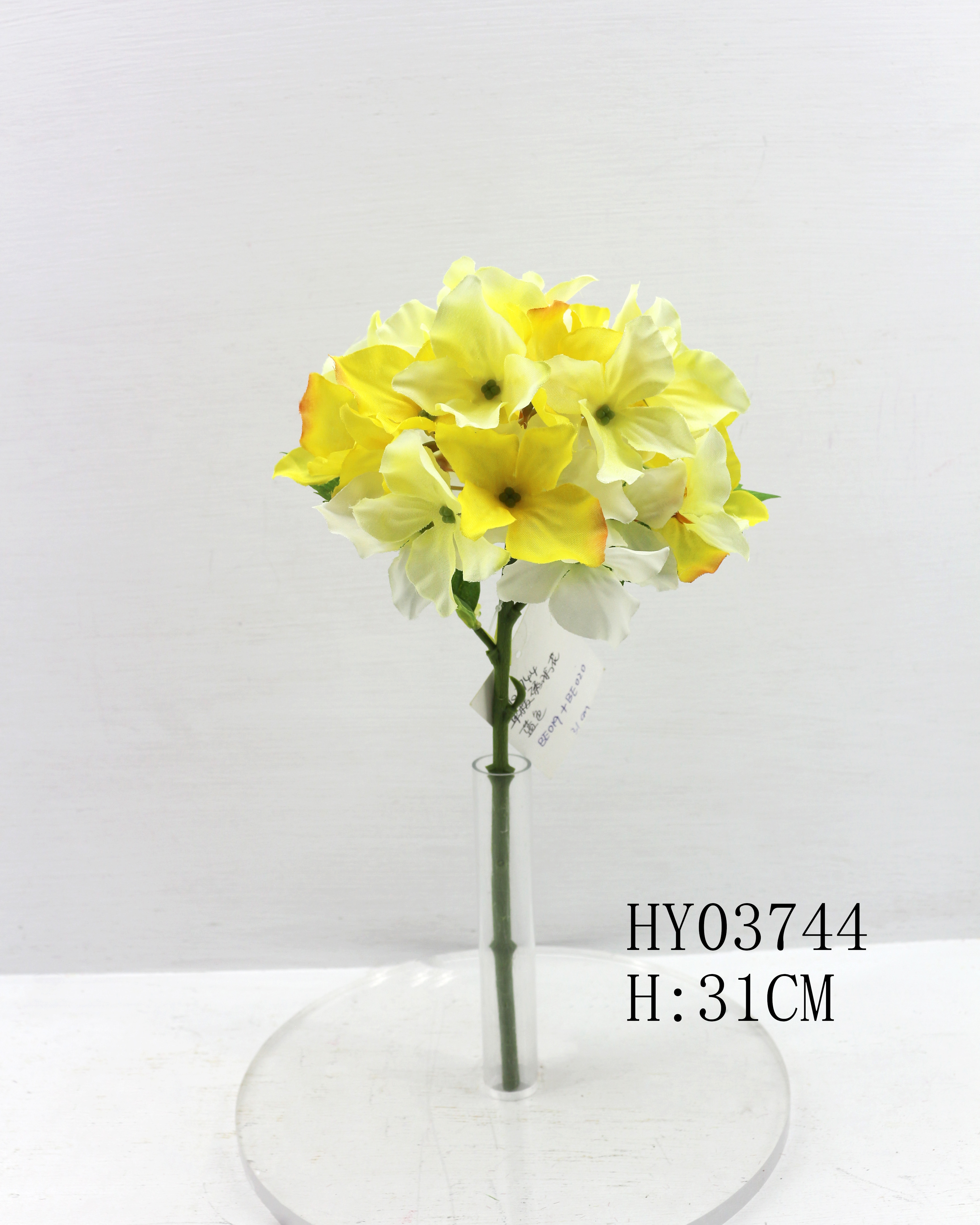 HY03744