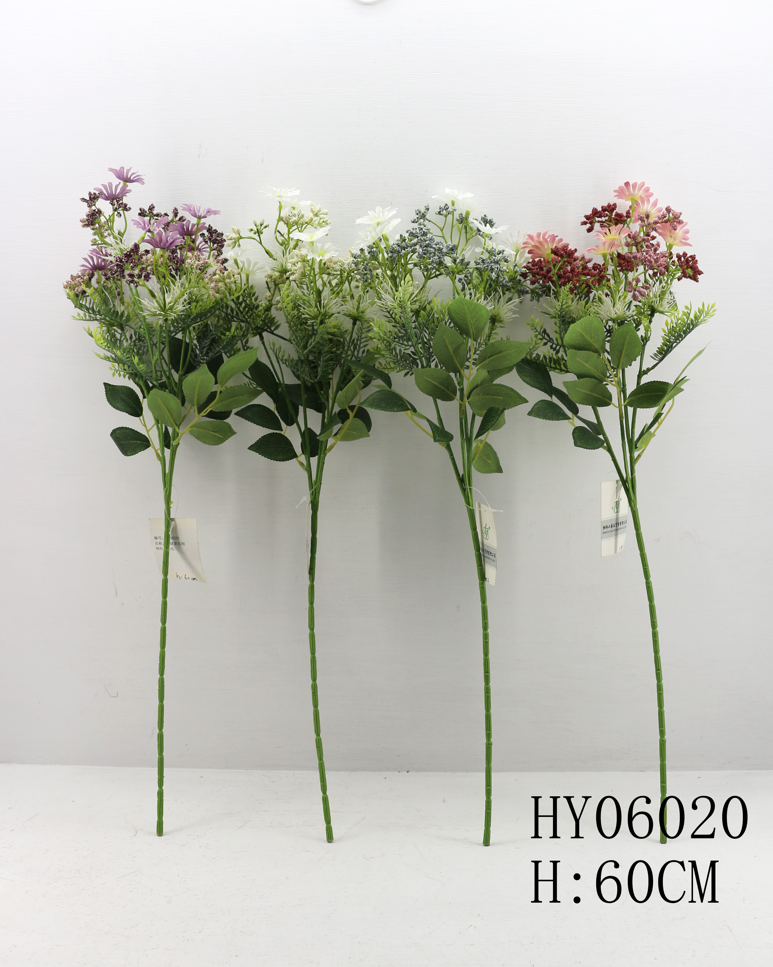 HY06020