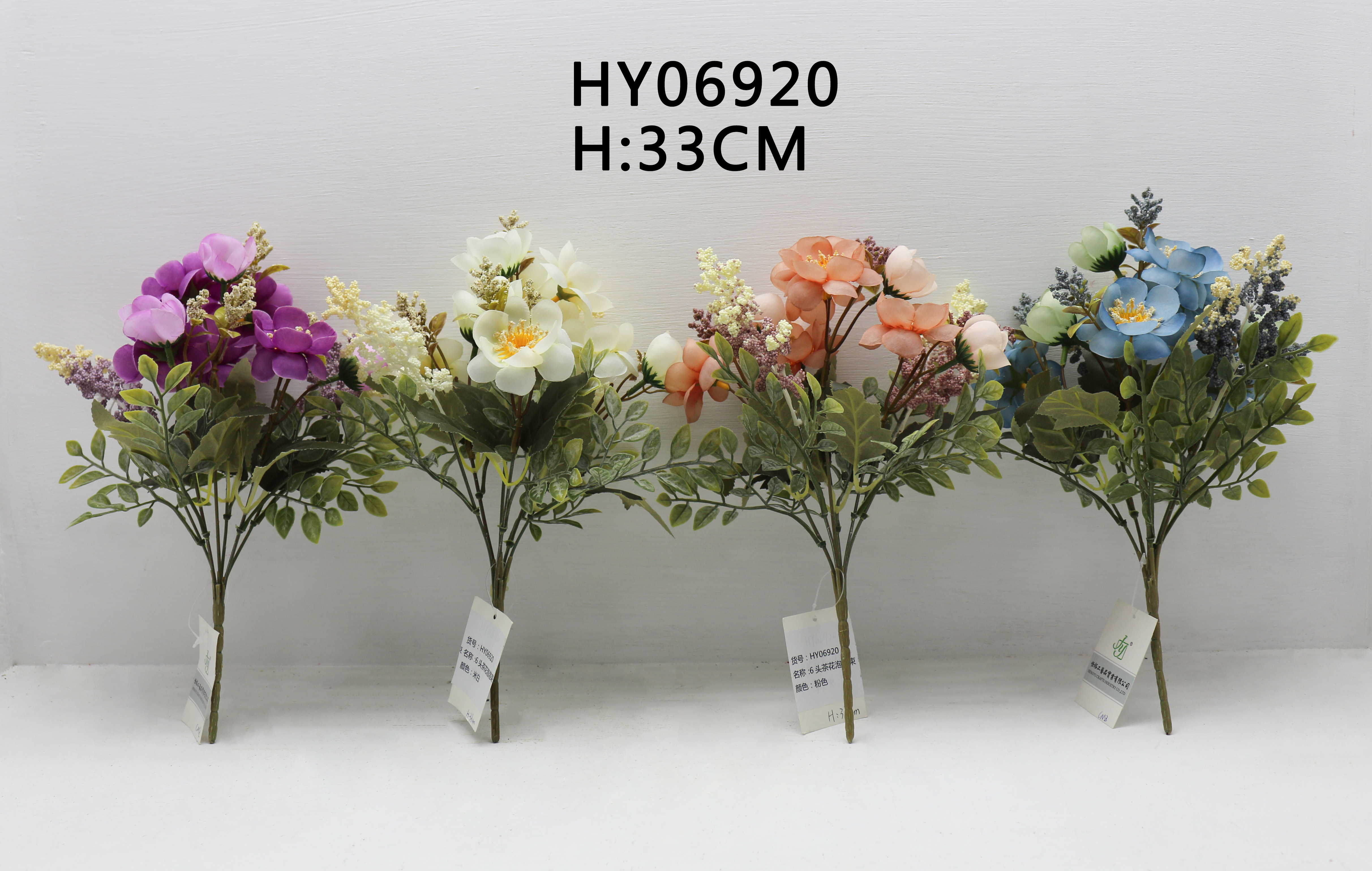 HY06920