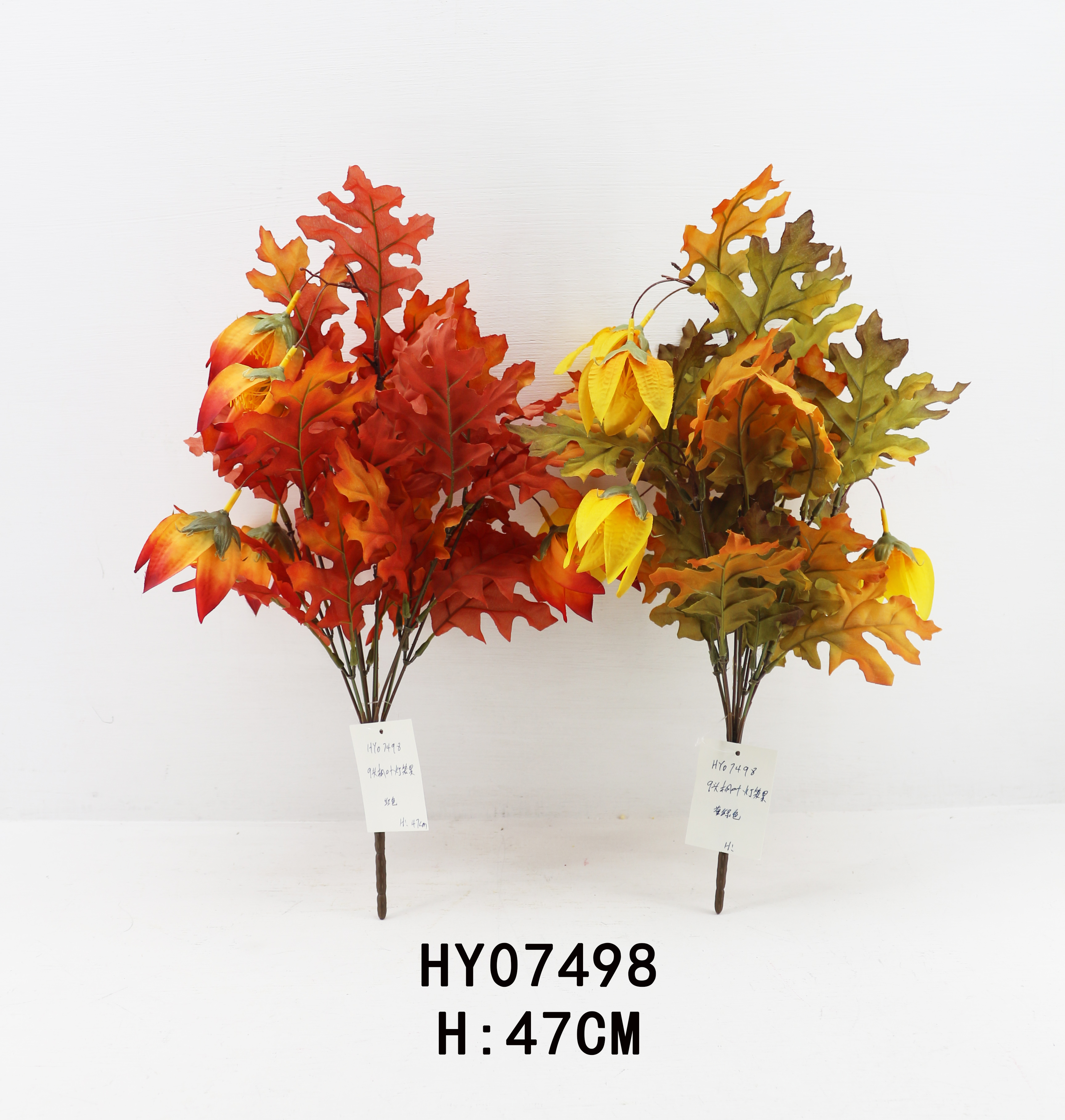 HY07498
