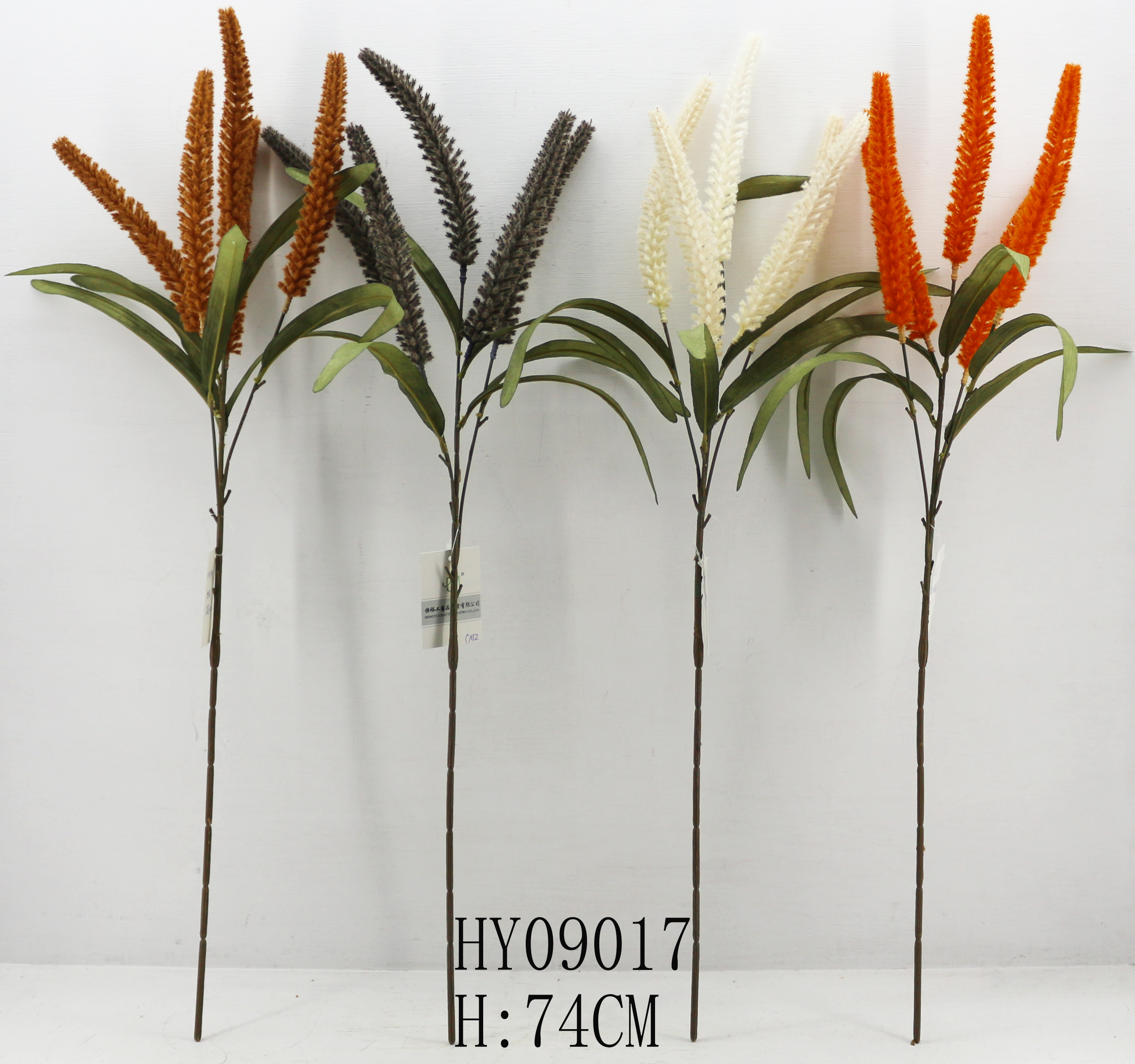HY09017