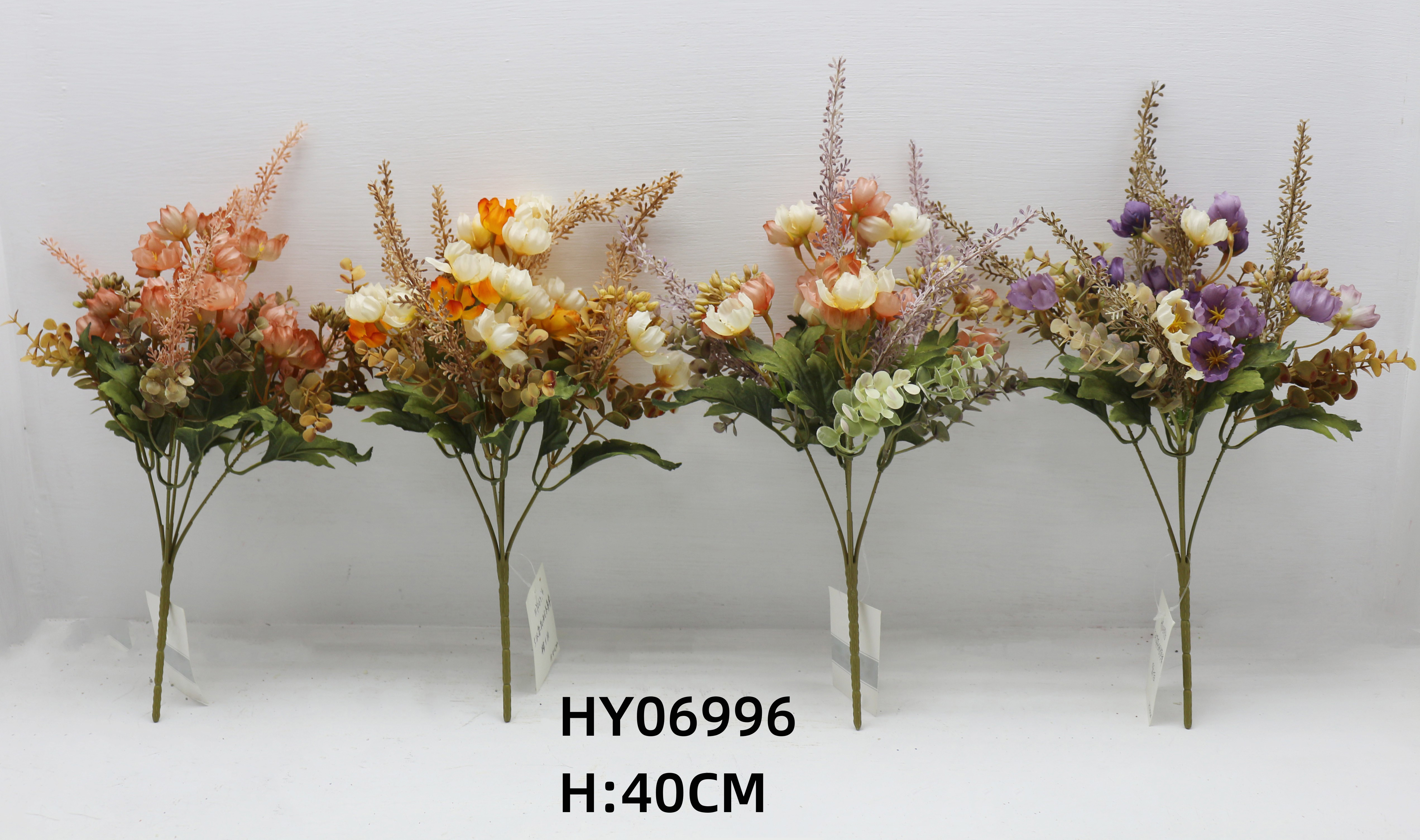 HY06996