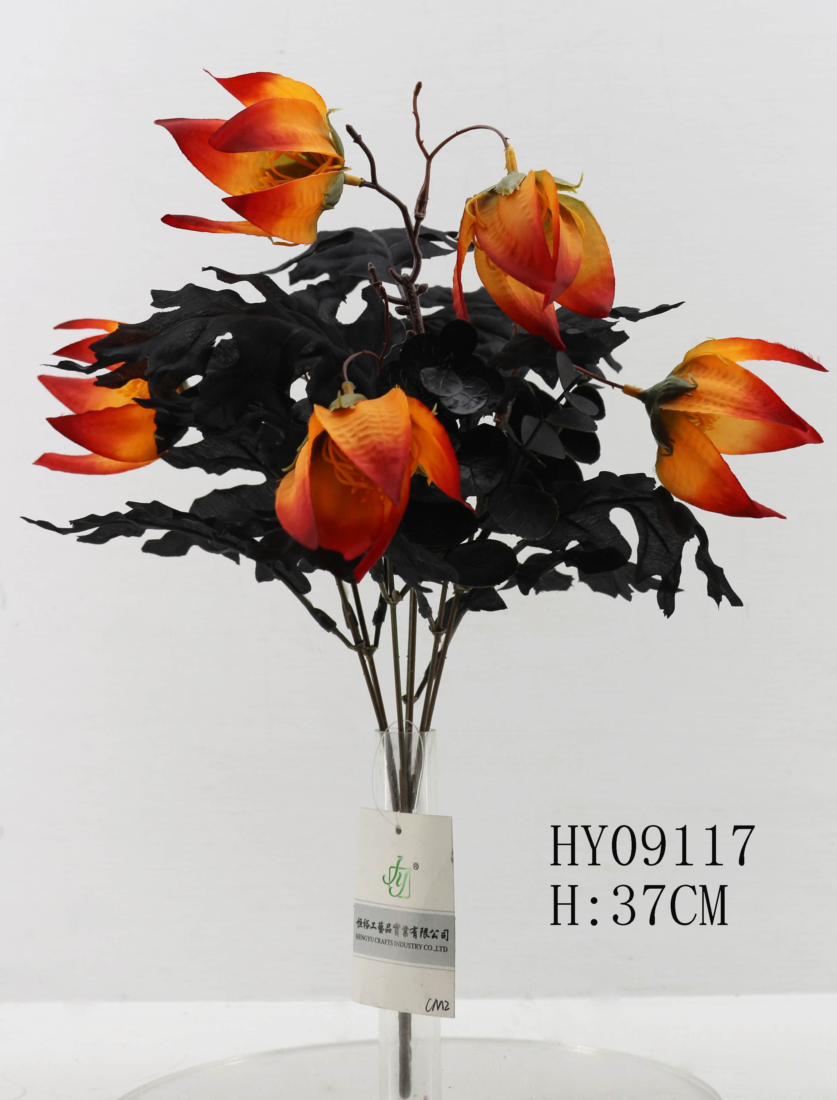 HY09117