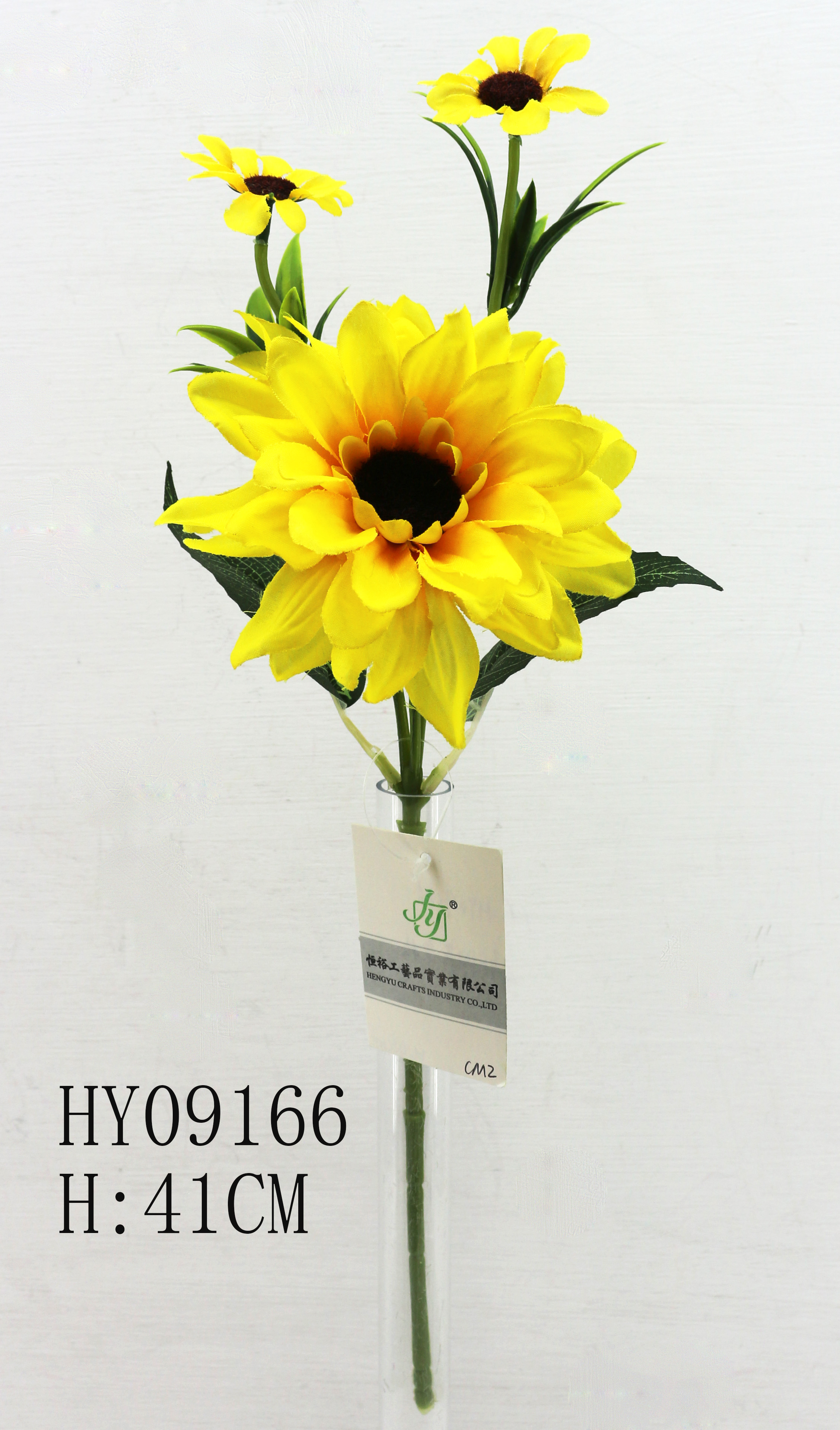 HY09166