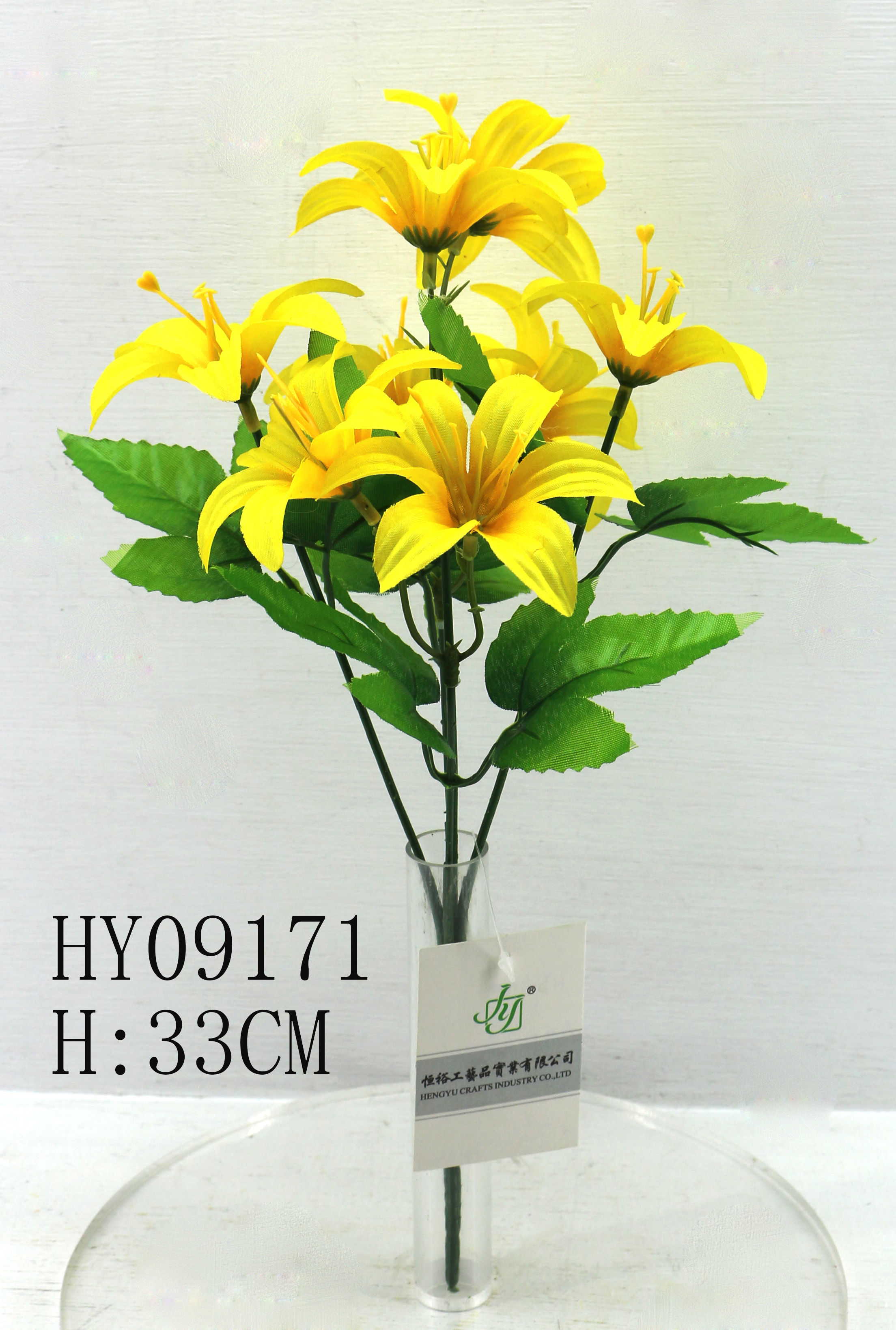 HY09171
