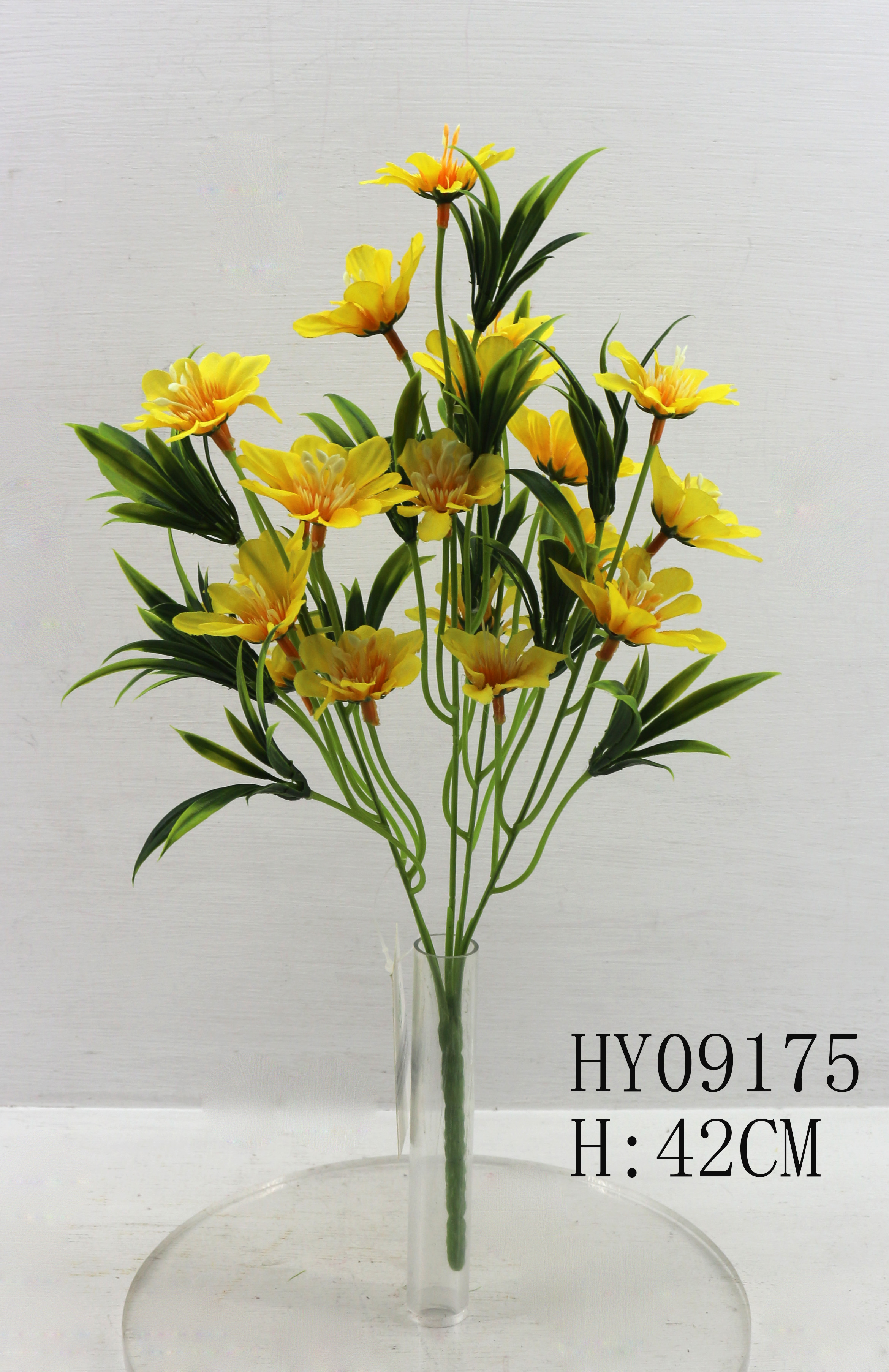 HY09175