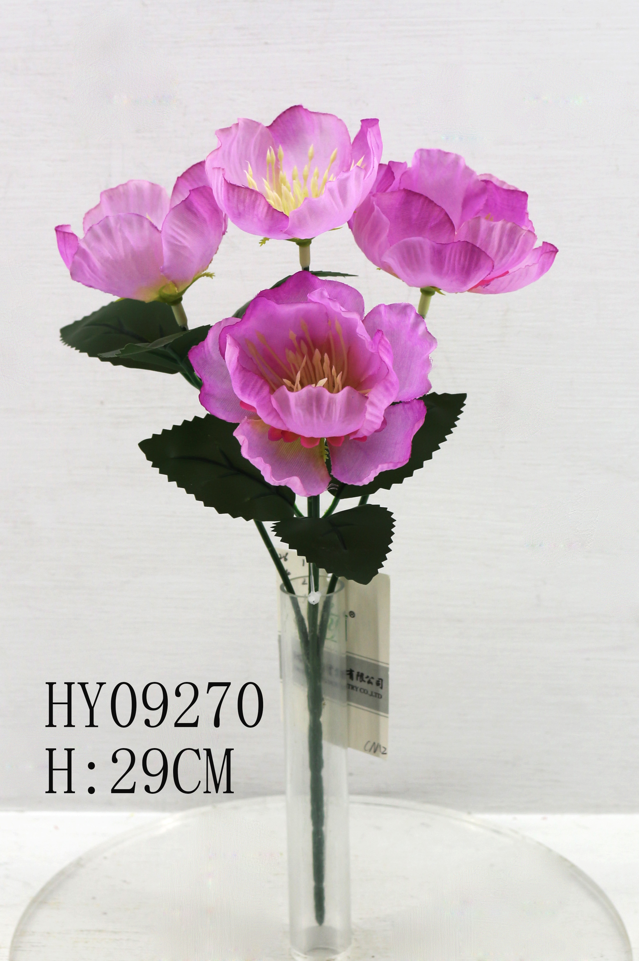 HY09270