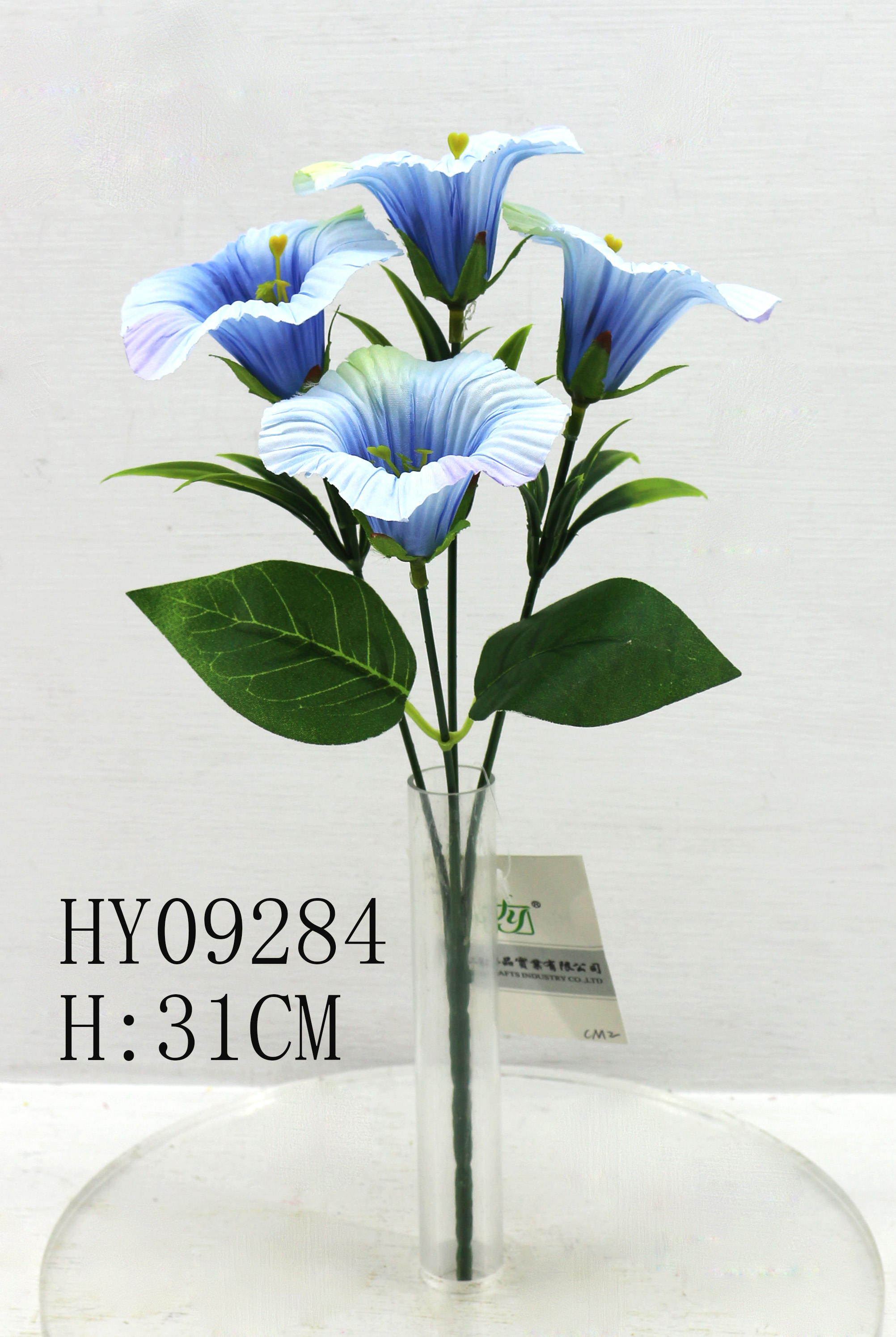HY09284