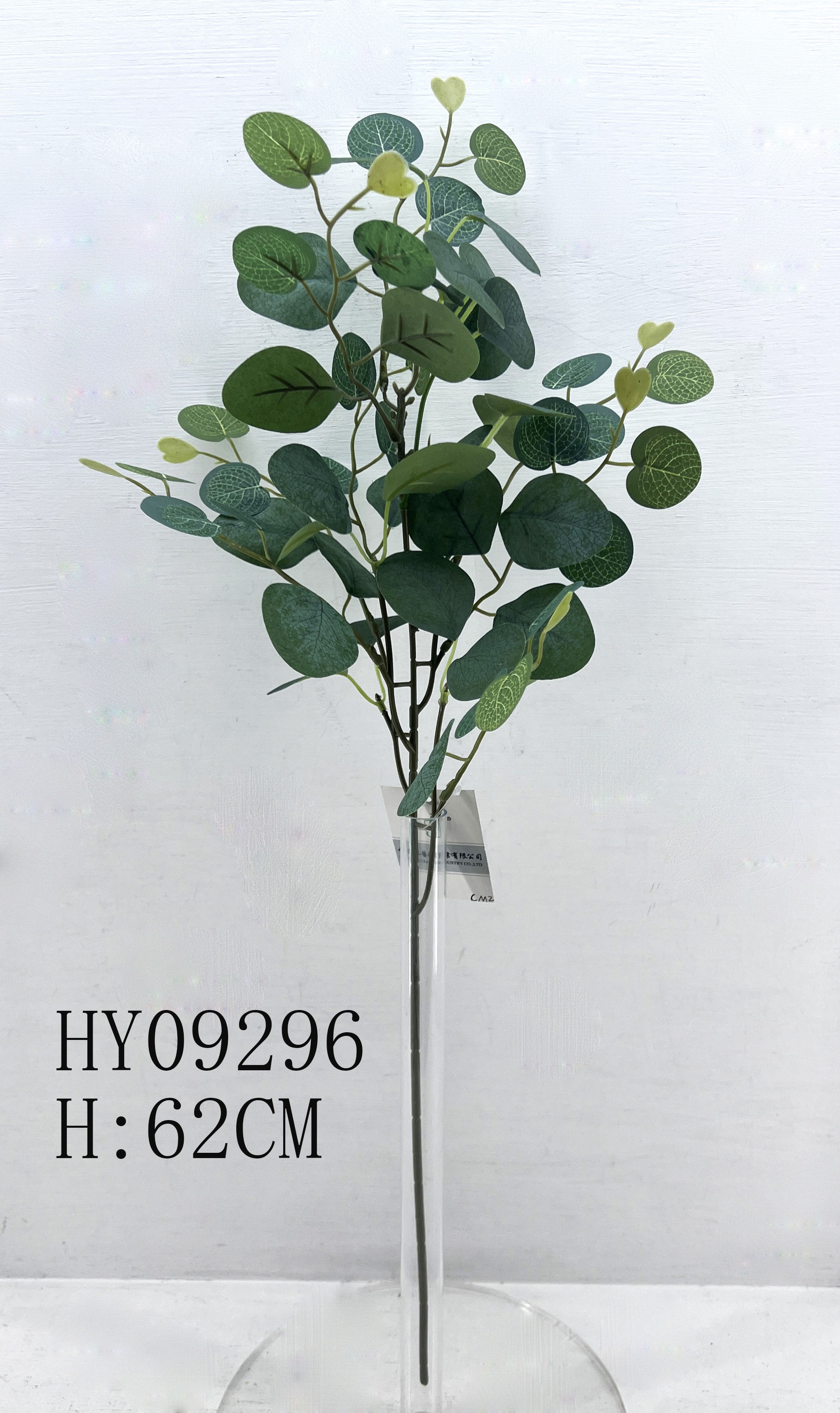 HY09296