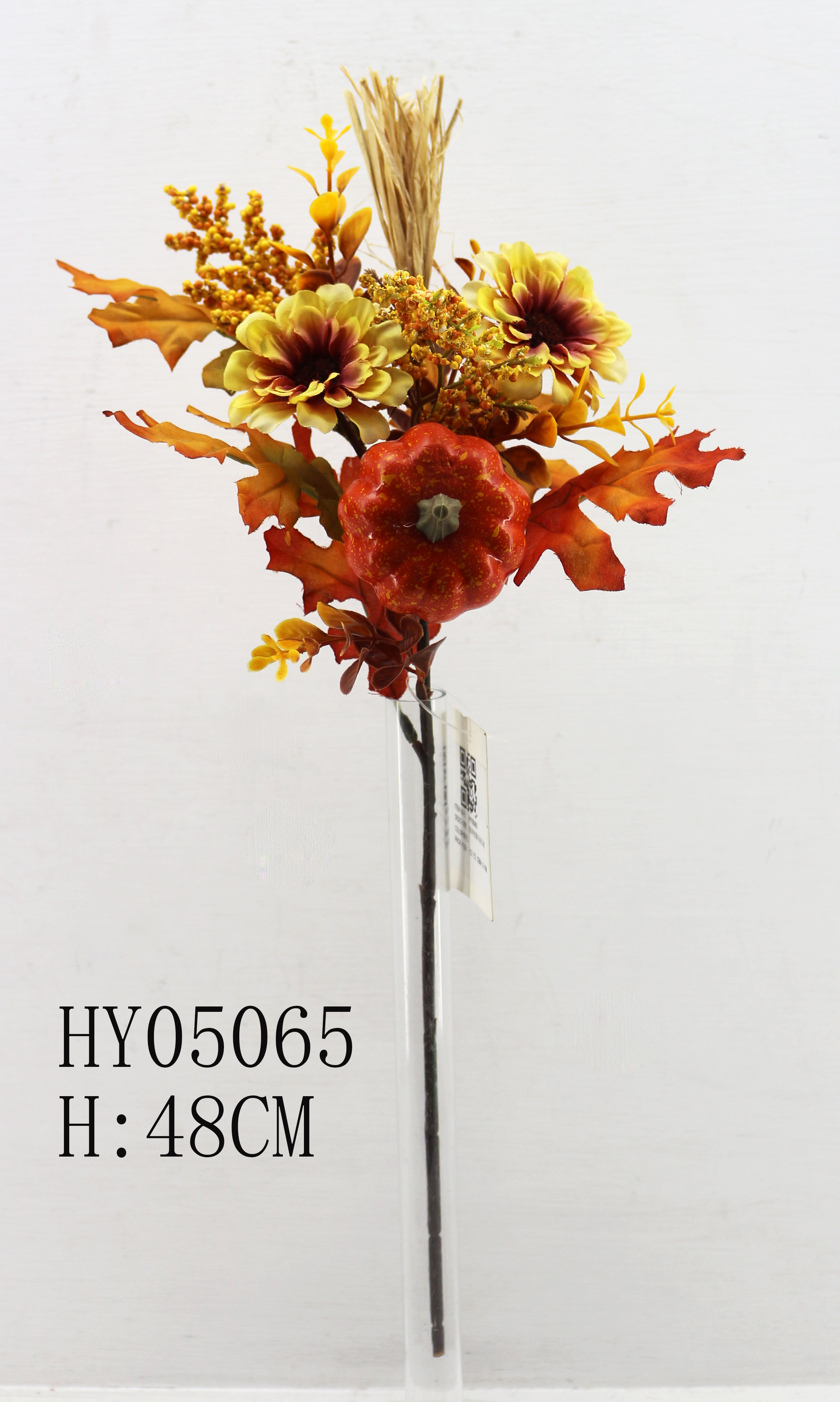 HY05065