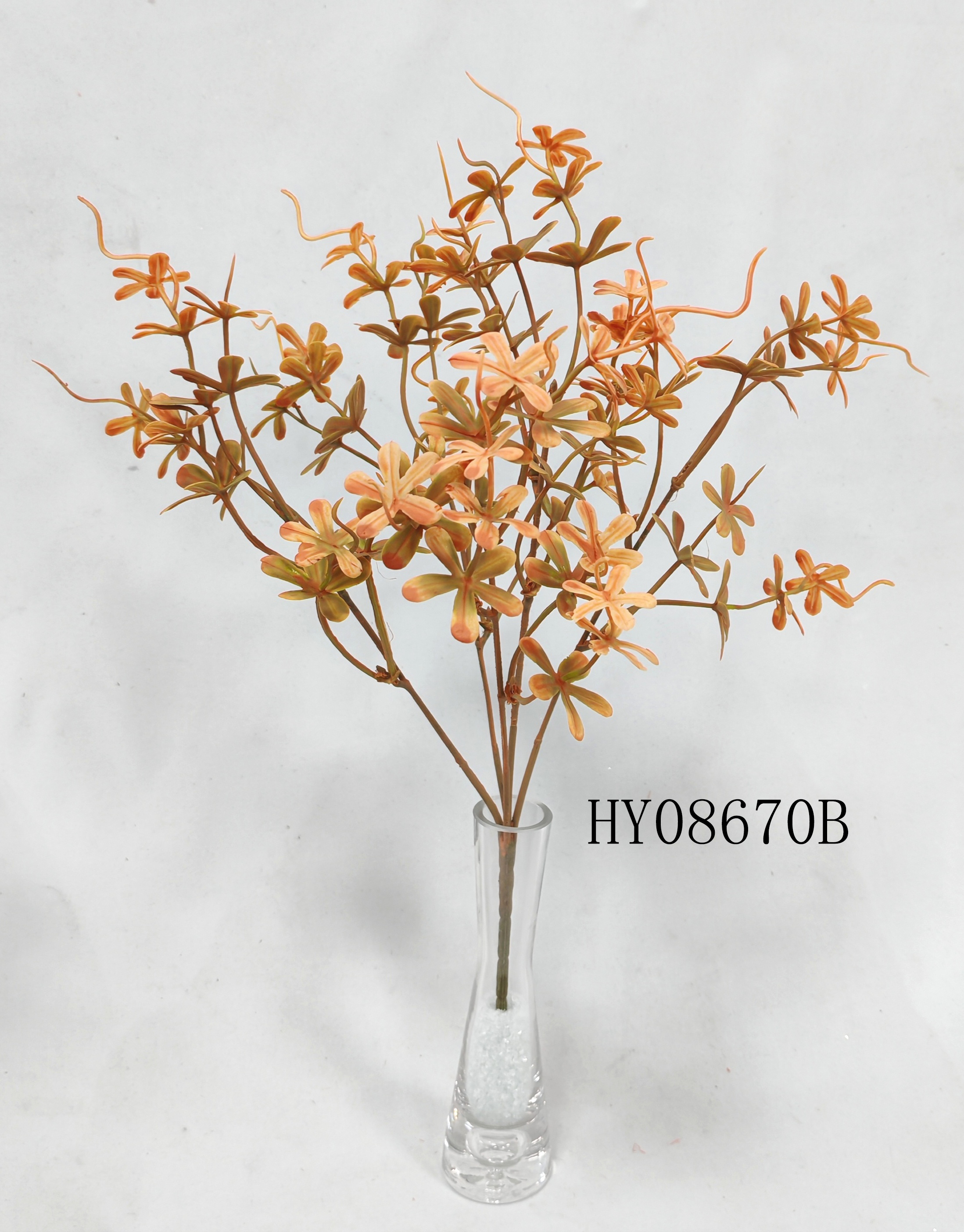 HY08670