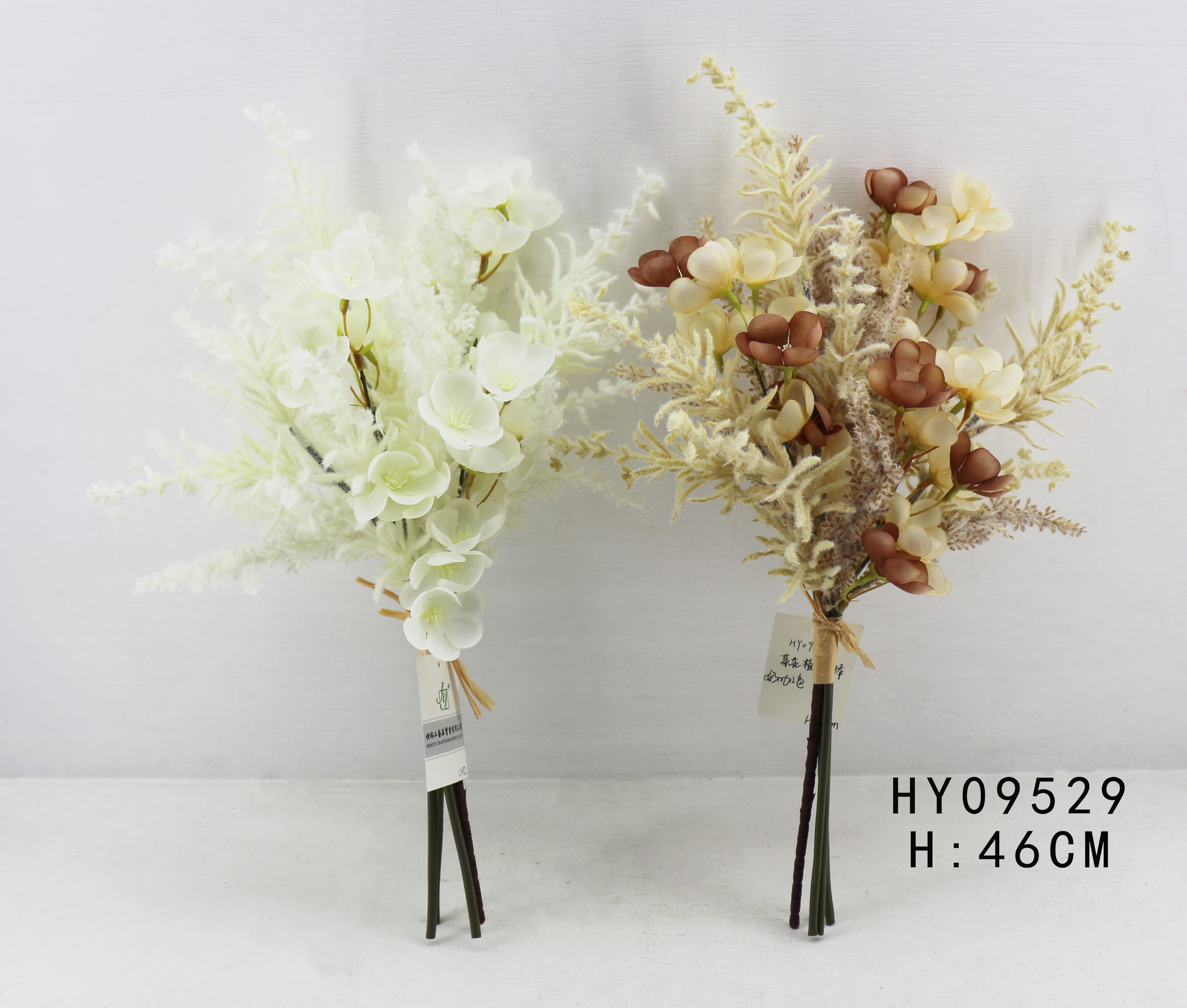 HY09529